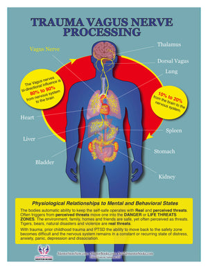 The Polyvagal Theory Chart