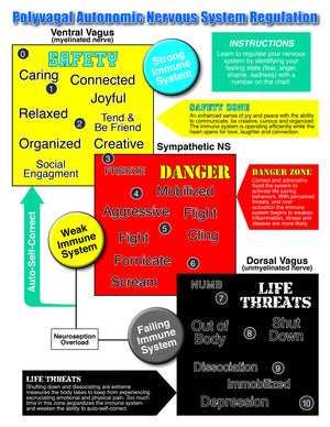 Polyvagal Chart and Meters