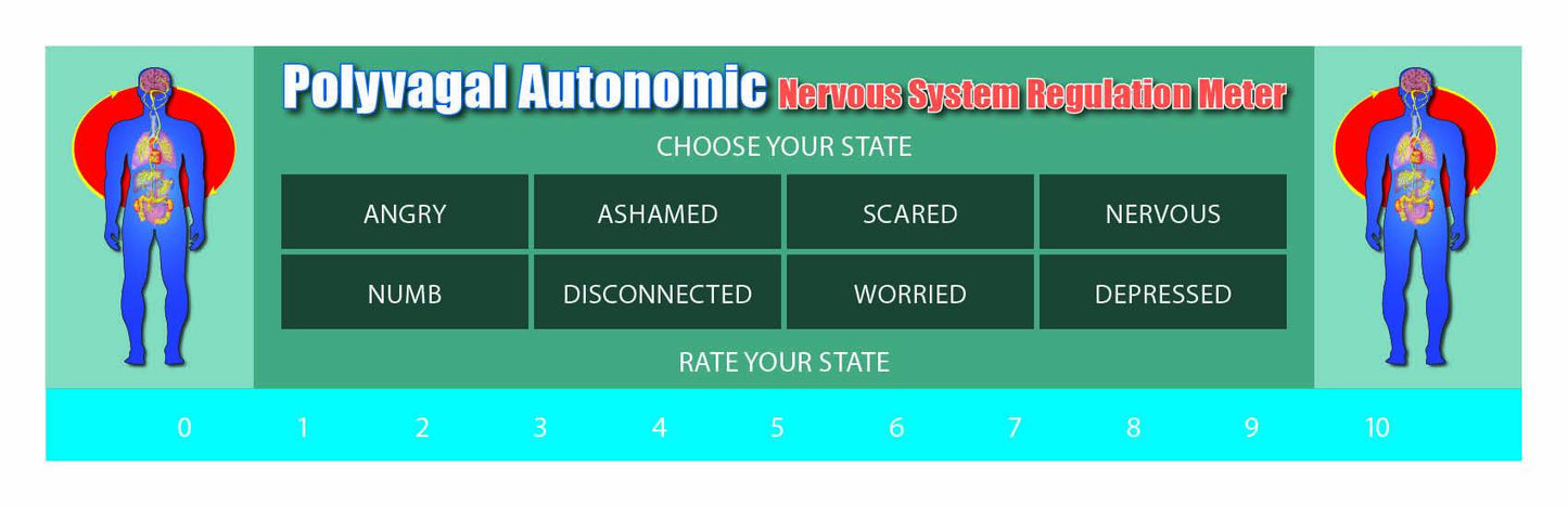 Polyvagal Chart and Meters