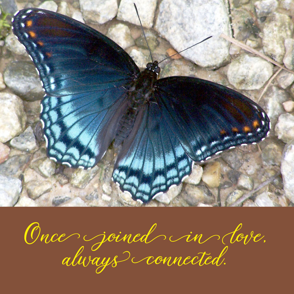 Spirtiualist Medium Grief Work Card deck