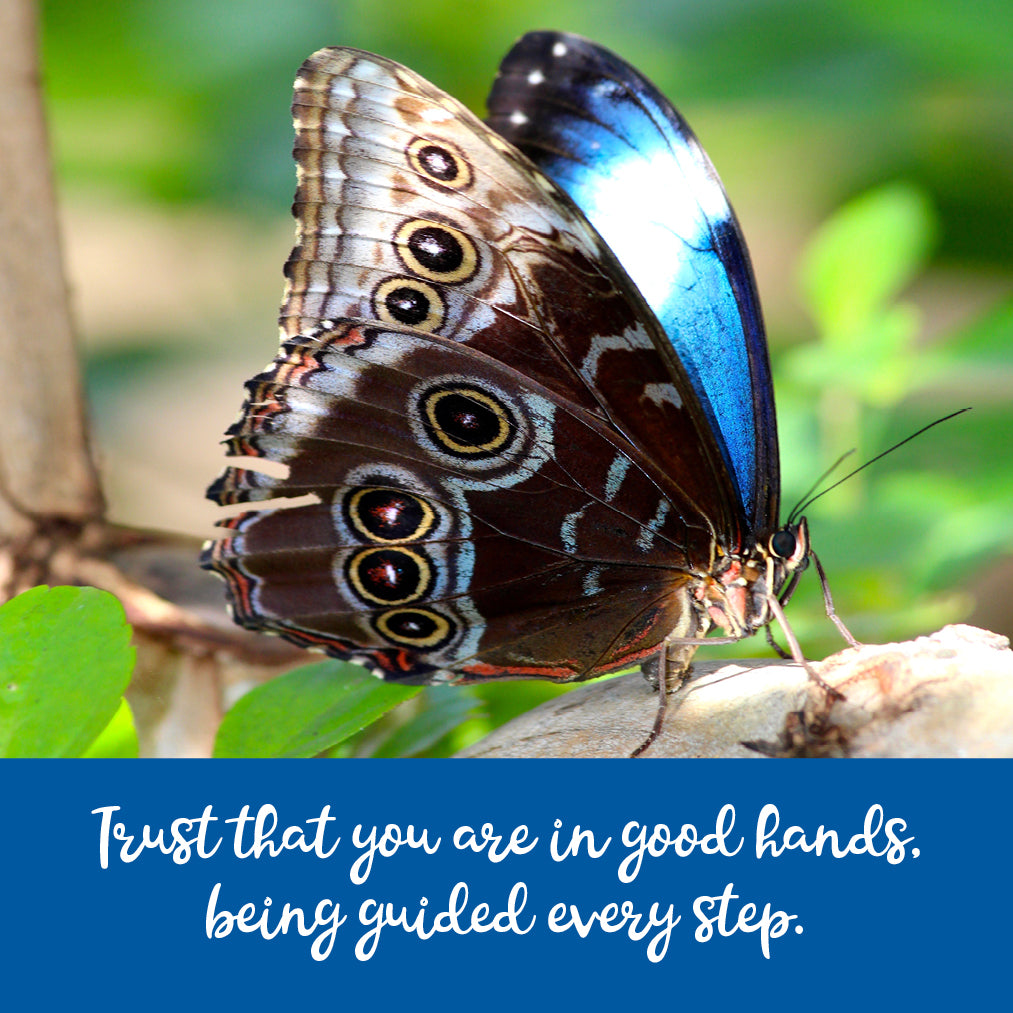 Spirtiualist Medium Grief Work Card deck
