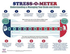 Stress-O-Meter Chart