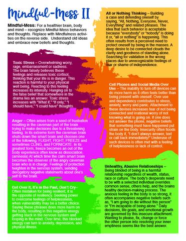 Mindfulness or Mindful-Mess 2 Chart