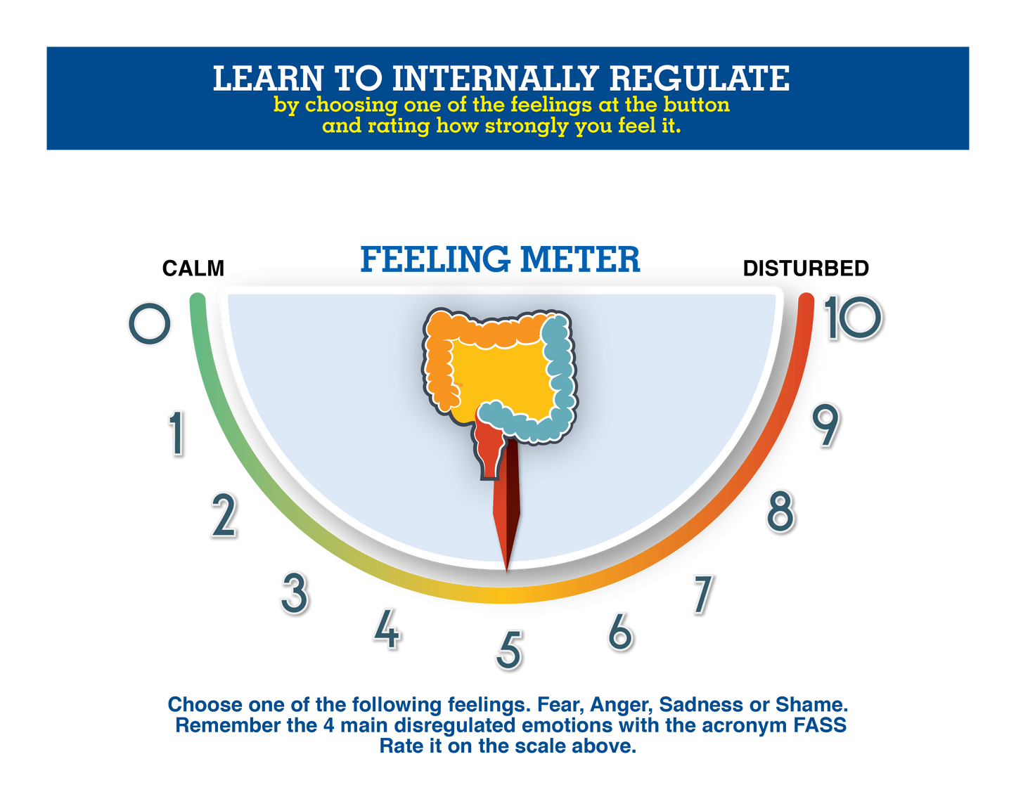 Feeling and Thought Meter
