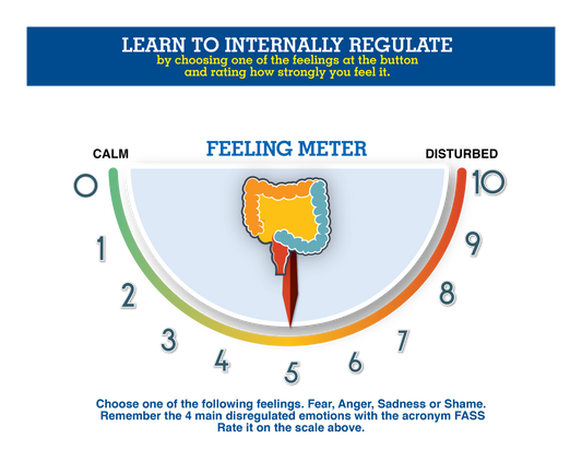 Feeling and Thought Meter
