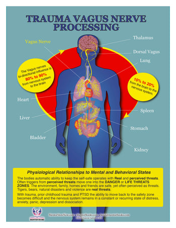 Brain Trauma Processing Chart: How the Brain PDF Version – Mentor Books ...