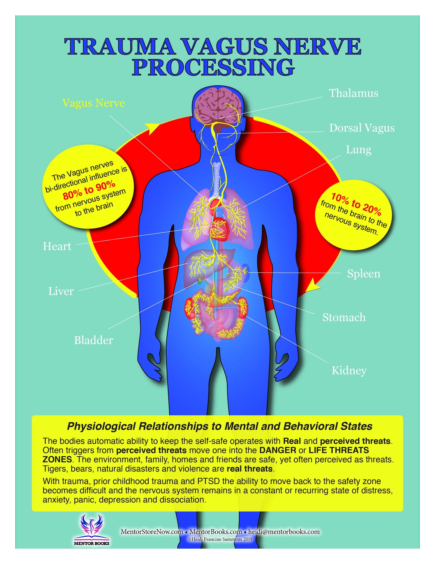 Polyvagal Chart and Meters