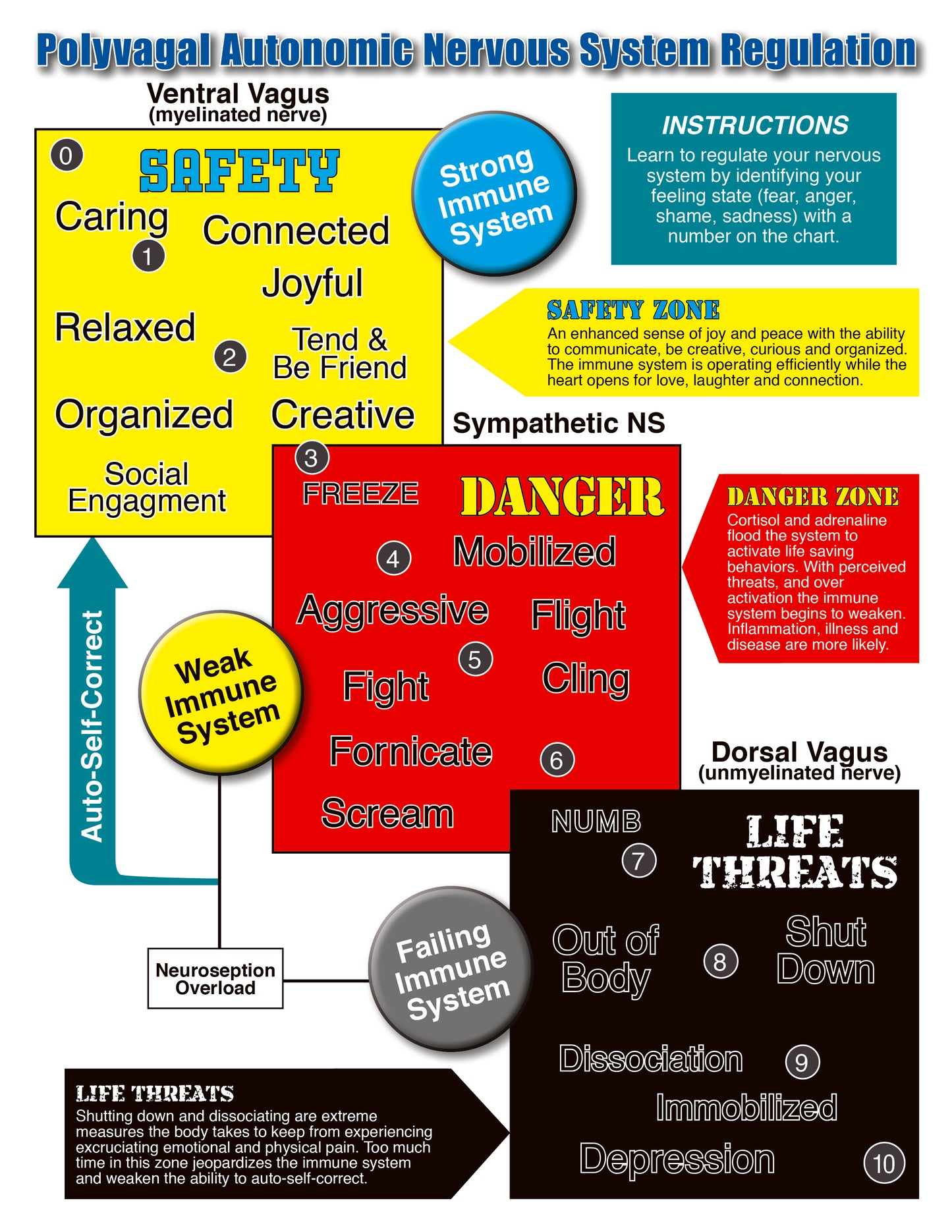 The Polyvagal Theory Chart PDF Version