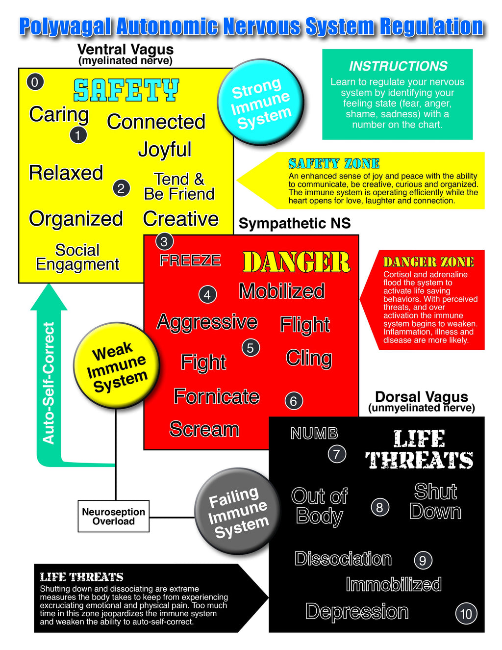 Polyvagal Poster