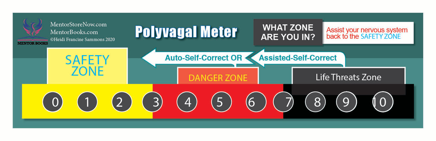 Chart for clients Poly-Meter Vagus Nerve Regulation - mini chart take home