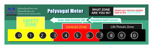Polyvagal Chart and Meters
