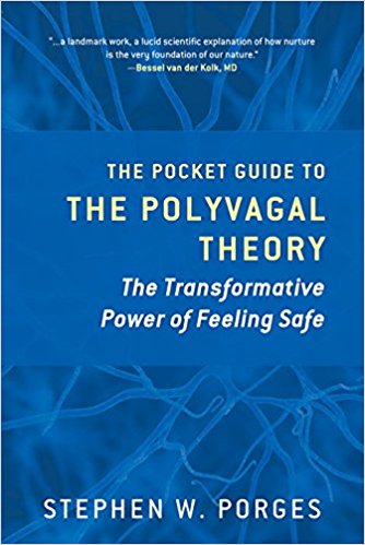 The Pocket Guide to the Polyvagal Theory by Stephen W. Porges