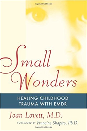 Small Wonders by Joan Lovett